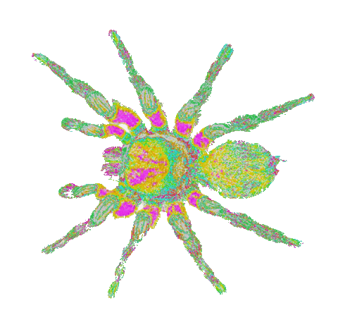 Art Rainbow Sticker by daisy maize