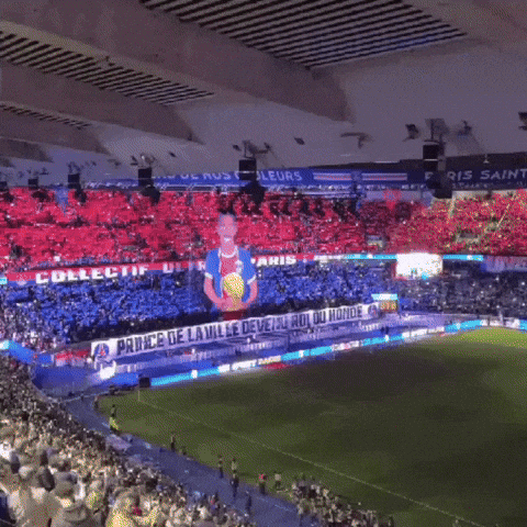 Parc Des Princes Psg GIF