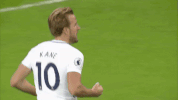 london football GIF by Tottenham Hotspur