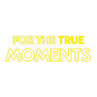 forthetrue video photo camera photographer Sticker