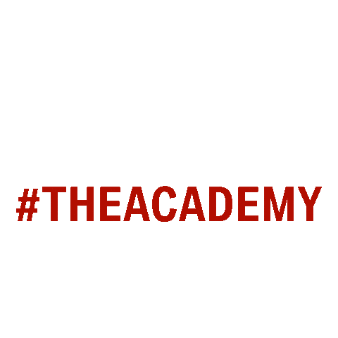 Academy Bmwmotorrad Sticker by BMW & MINI Driving Experience