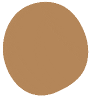 Bola Beige Sticker