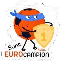Euro 2024 Football Sticker by TotoGaming