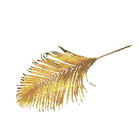 ex on the beach gold Sticker by MTV Nederland