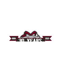 GuelphStormHockey ohl guelph storm guelph hockey Sticker