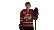 Guelph Celebrating Sticker by GuelphStormHockey