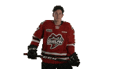 Guelph Sticker by GuelphStormHockey