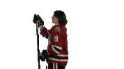 Ohl Guelph Sticker by GuelphStormHockey