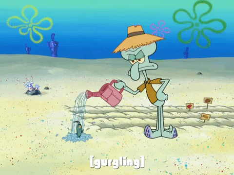 season 8 episode 6 GIF by SpongeBob SquarePants