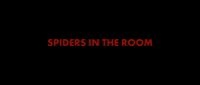Davidly - Spiders in the Room