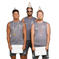 Party Beck Sticker by BFC Dynamo