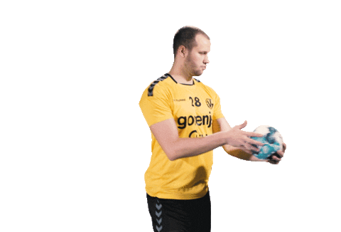 Rkgv Rokometniklubgorenjevelenje Gorenje Velenje Črnorumenokoteno Gorenjevelenje Handball Sticker by RK Gorenje Velenje
