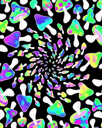 Nft Mushroom GIF by bangerooo