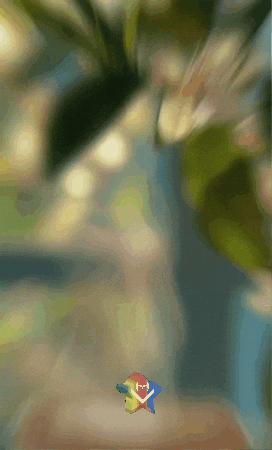 Buenos Dias Flores GIF by Murcianys LLC