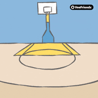 Basketball Nba GIF by VeeFriends