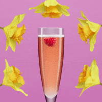 chambord; chambord channel; chambord recipes GIF