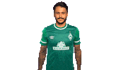 Red Card Leo Sticker by SV Werder Bremen