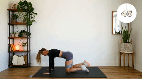 ivonnebarriosjimnez giphygifmaker GIF