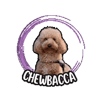 Chewbacca Sticker by Asilo per cani Dog'sMind