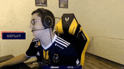 TeamVitality apex vitality GIF