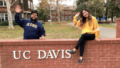 happy college life GIF by UCDavis