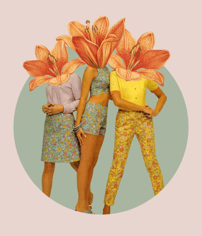 Passage23 giphyupload women flowers 60s GIF