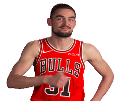 Tomas Satoransky Sticker by Chicago Bulls