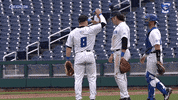 Creighton Baseball GIF by Creighton University Athletics