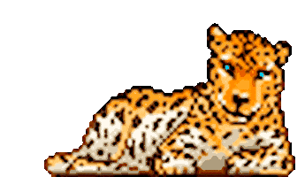 Relaxed Big Cat Sticker