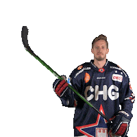 Ice Hockey Goal Sticker by Ravensburg Towerstars