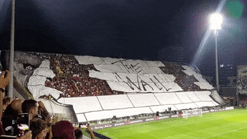 The Wall Soccer GIF by Storyful