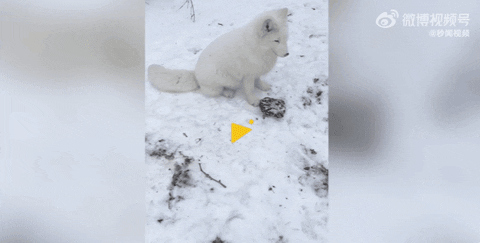 loveeyo giphyupload GIF