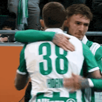 Rapid Wien Horn GIF