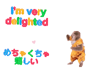 Fun Monkey Sticker