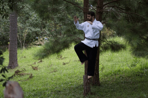gladsonangeli giphygifmaker GIF