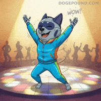 Happy Lets Go GIF by Doge Pound