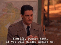 season 1 agent cooper GIF by Twin Peaks on Showtime