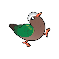 Firuo_drawingbirds dove 鳩 emerald dove common emerald dove Sticker