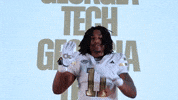 Georgia Tech Football Sport GIF by Georgia Tech Yellow Jackets