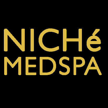 nichemedspa giphygifmaker giphygifmakermobile medspa niche GIF