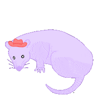 ashrosecreative texas country western yeehaw Sticker