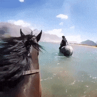 horse paradise GIF by Sport Decouverte
