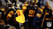 Pittsburgh Steelers Football GIF by NFL