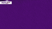 UEAthletics evansville purple aces fortheaces ue athletics GIF