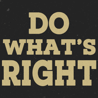 School Whats GIF by Rome Wolves Football