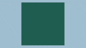 Art Video GIF by jorgemariozuleta