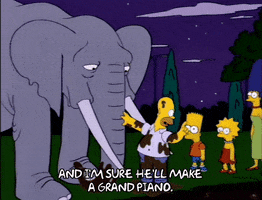 homer simpson GIF