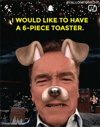 tonight show interview GIF by The Tonight Show Starring Jimmy Fallon