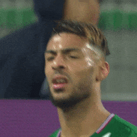 Ligue 1 What GIF by AS Saint-Étienne