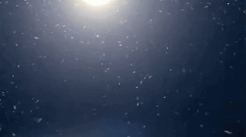 bohemian rhapsody GIF by Pentatonix – Official GIPHY 